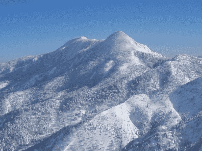 刘女士成功案例